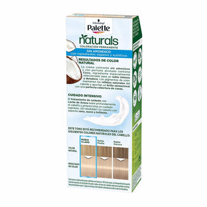 Palette Paleta natural tintura #12.1 - loiro extra claro acinzentado 1 u
