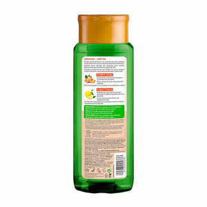 Natur Vital Shampoo eco purificante de gengibre e limão 300 ml