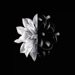 Givenchy L'Interdit Eau de Toilette Vaporizador 50 ml
