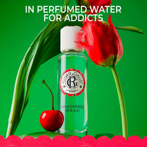 Roger & Gallet Gengibre rouge loção corporal 250 ml