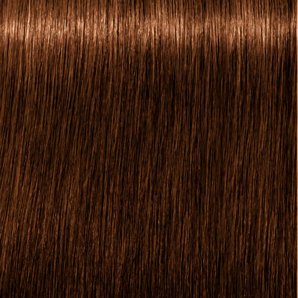 Schwarzkopf Igora Royal Absolutes Coloração Creme Permanente Anti-Idade 8-60 Louro Claro Chocolate Natural 60ml