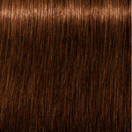 Schwarzkopf Igora Royal Absolutes Coloração Creme Permanente Anti-Idade 8-60 Louro Claro Chocolate Natural 60ml