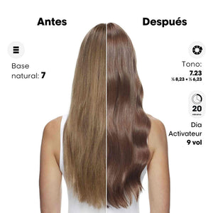 L'Oréal Professionnel Paris Coloração demi-permanente dia color sem amônia #6.84 60 ml