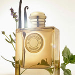 Burberry Goddess Intense Eau de Parfum Vaporizador 50 ml