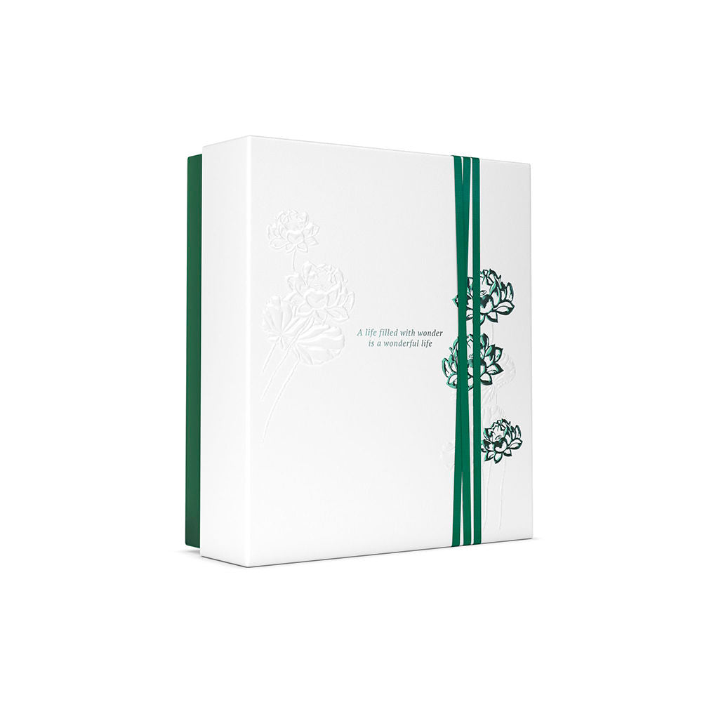 Rituals O ritual of conjunto de presente médio jing 4 pz