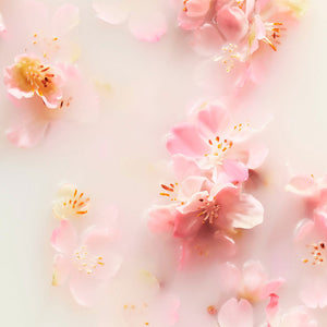 Rituals Recarregar de creme corporal o ritual of sakura 220 ml