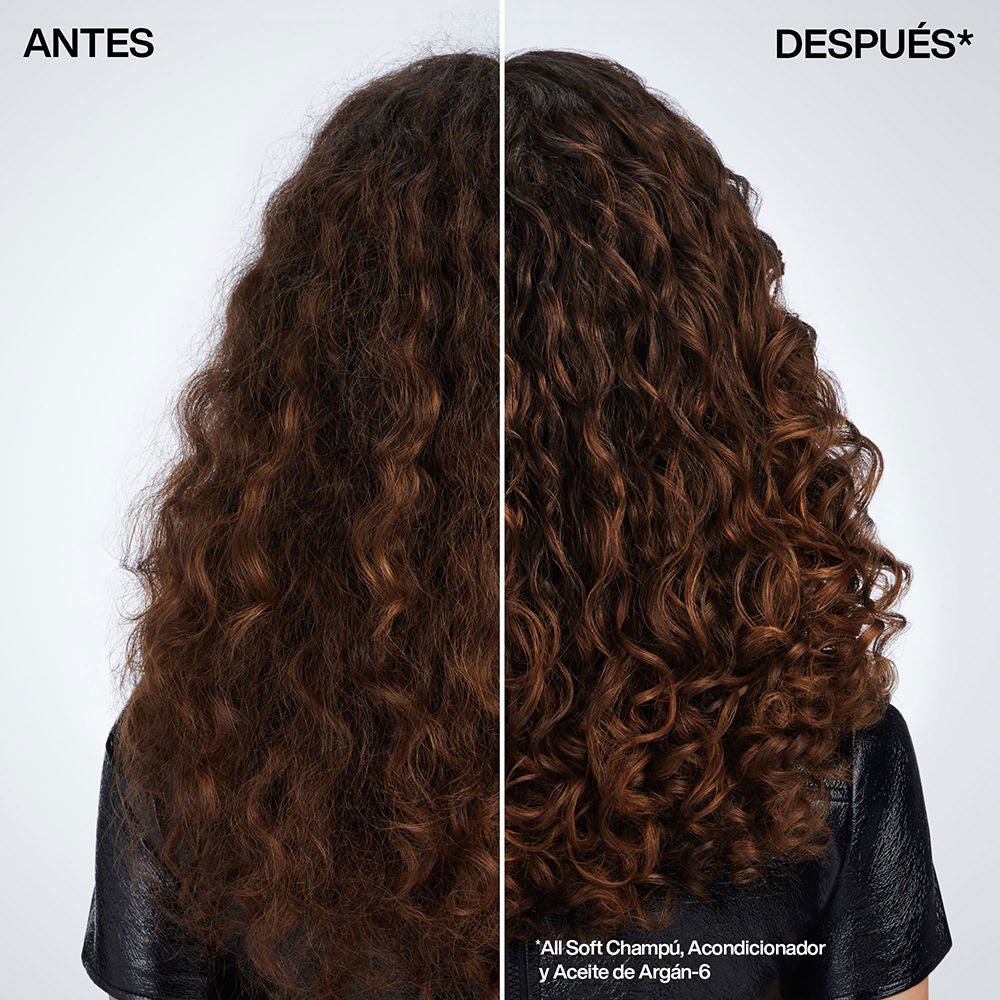 Redken Óleo de argan todos soft-6 100 ml
