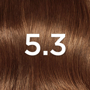 L'Oréal Paris Excellence Coloração Creme 5.3 Castanho Claro Dourado 1 un