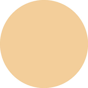 Catrice Cc skin perfector creme corretivo 30 ml