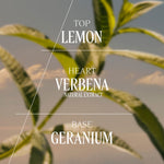 L'Occitane En Provence Bálsamo desodorante verveína 50 g