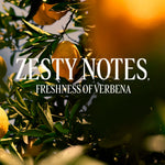 L'Occitane En Provence Agrumes de verveína desodorante em bastão 70 gr