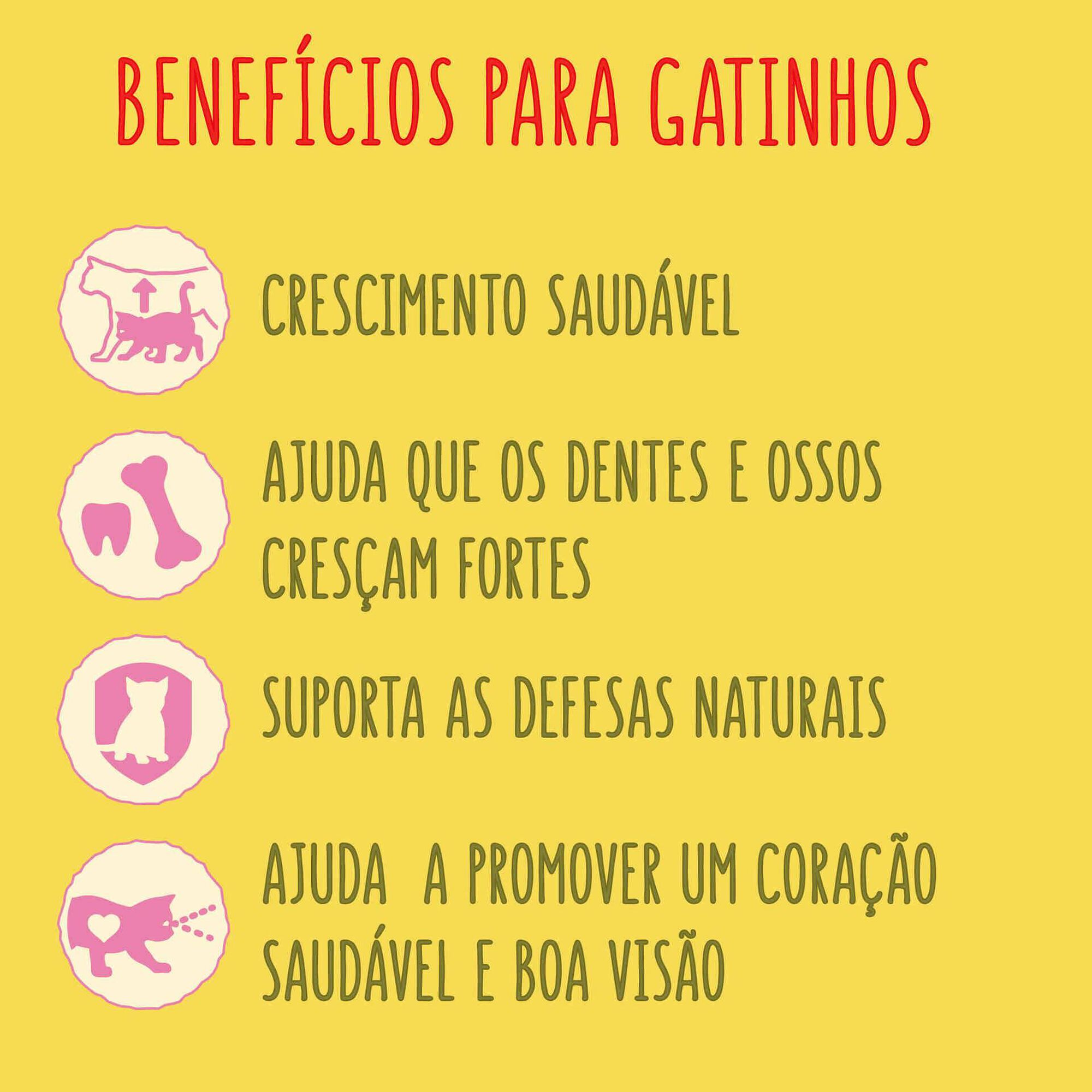 Ração Seca Purina Friskies Júnior Frango e Peru 1,5 kg