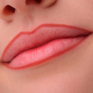 Catrice Delineador labial precision ink com efeito tinta nº 020, 1 ml