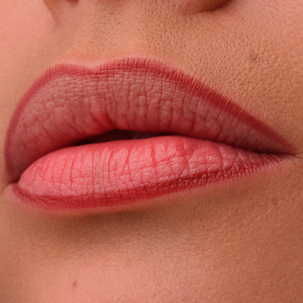 Catrice Delineador labial precision ink com efeito tinta #030 1 ml