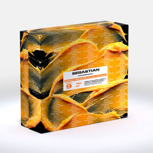 Sebastian Professionals Conjunto trio de poções 9 (3 peças)