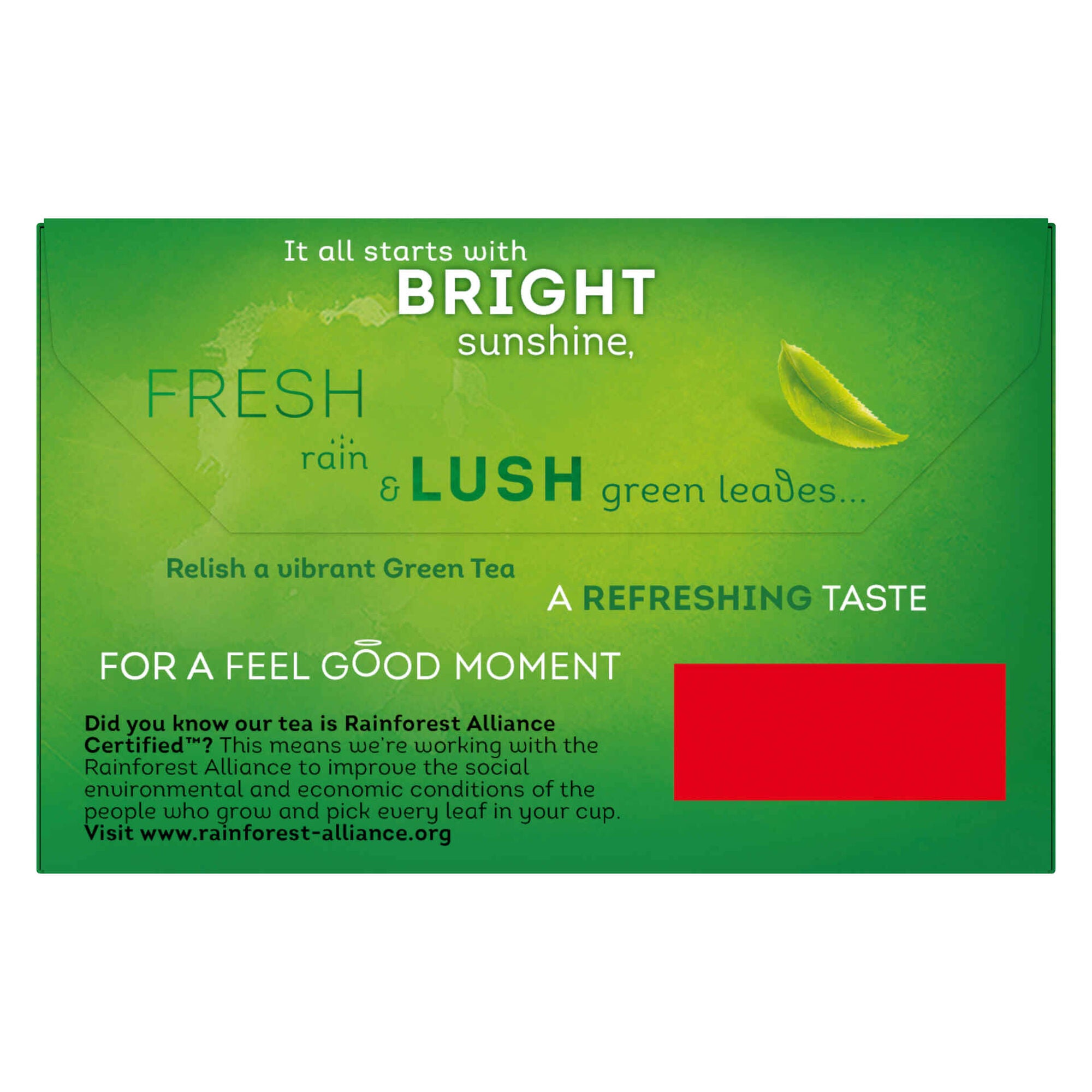 Chá Verde Citrus Lipton 26 g 20 un