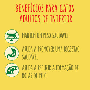 Purina Friskies Ração Gato Adulto de Interior Frango e Peru, 3 kg