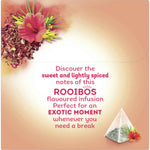 Infusão de Rooibos e Hibisco Lipton 40 g 20 un