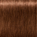 Schwarzkopf Igora royal #6-65