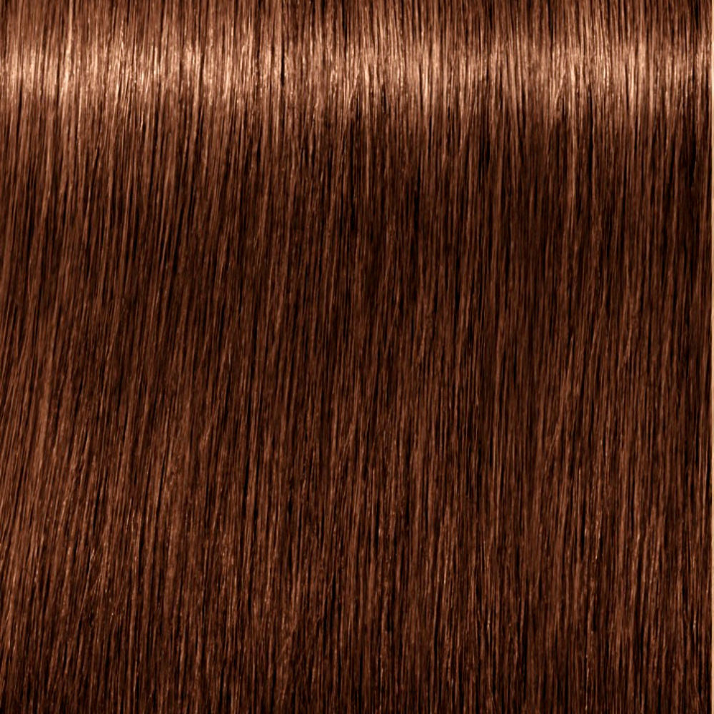 Schwarzkopf Absolutos reais de igora #6-60