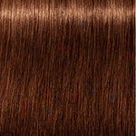 Schwarzkopf Absolutos reais de igora #6-60