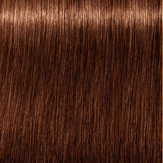 Schwarzkopf Absolutos reais de igora #6-60