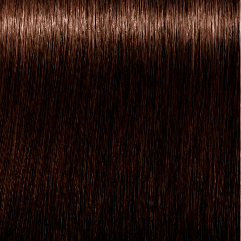 Schwarzkopf Absolutos reais de igora #4-60