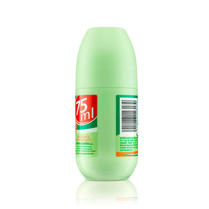 Instituto Español Aloé vera desodorante roll sobre 75 ml