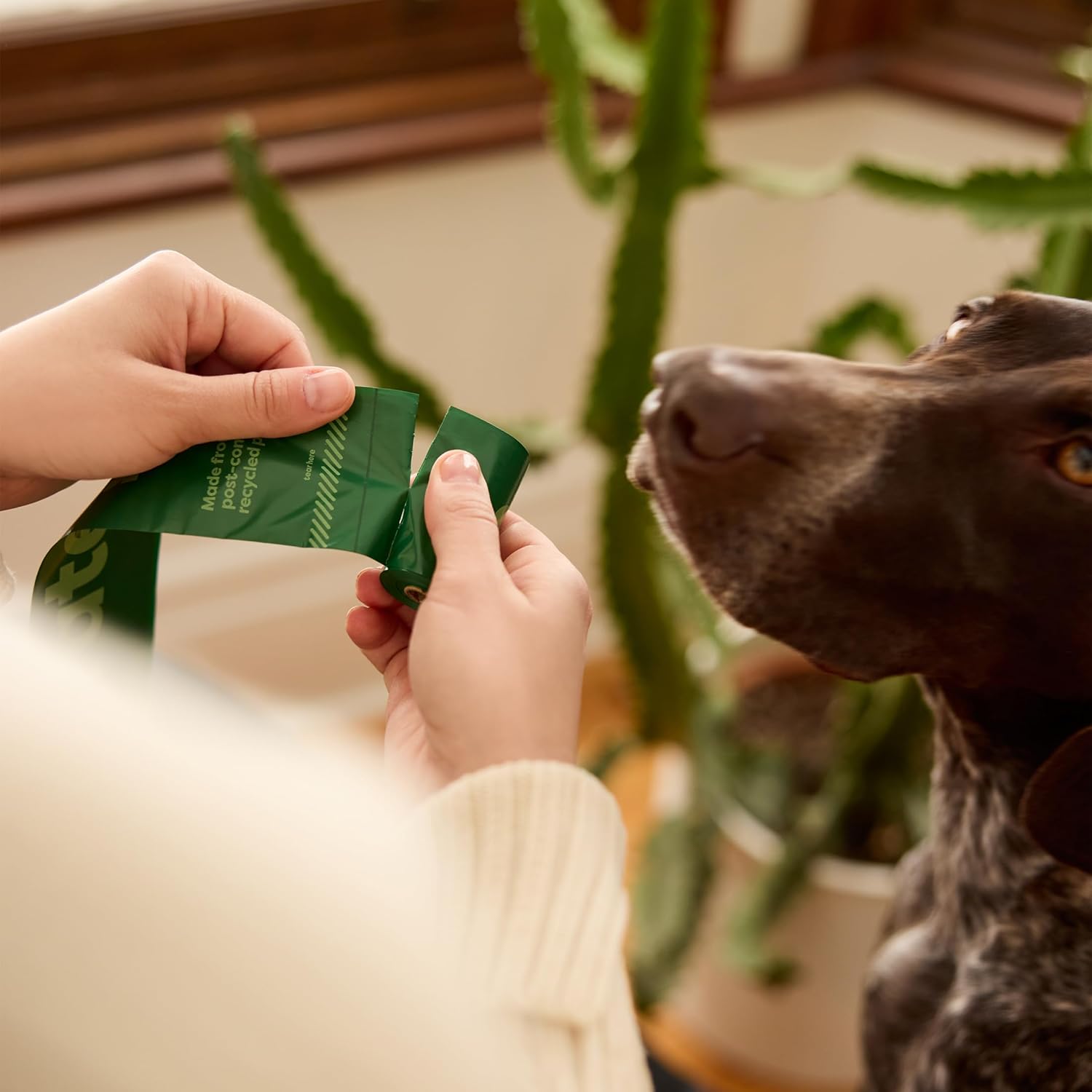 HKH Sacos para Dejectos com Aroma a Lavanda - 120 un