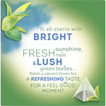 Chá Verde e Menta Lipton Pyramid 32 g 20 un