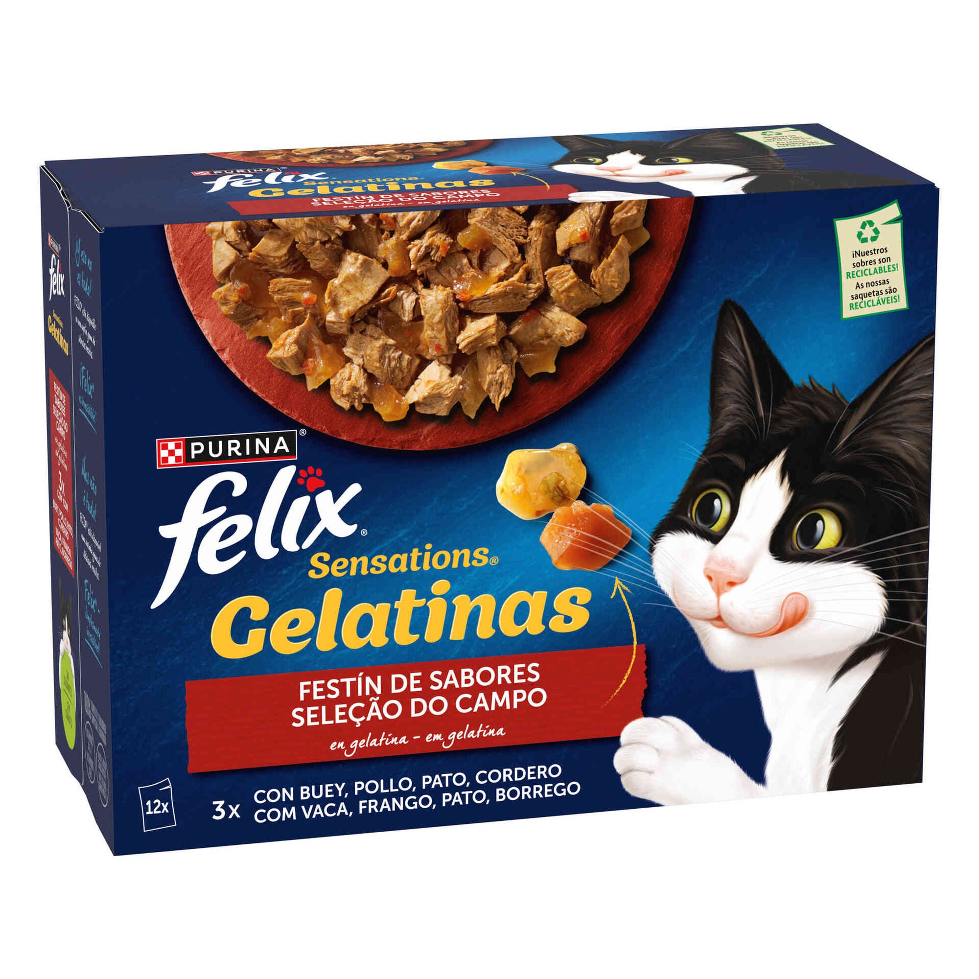 Purina Felix Sensations Gelatinas Gato, Saborosa Seleção 12x85g