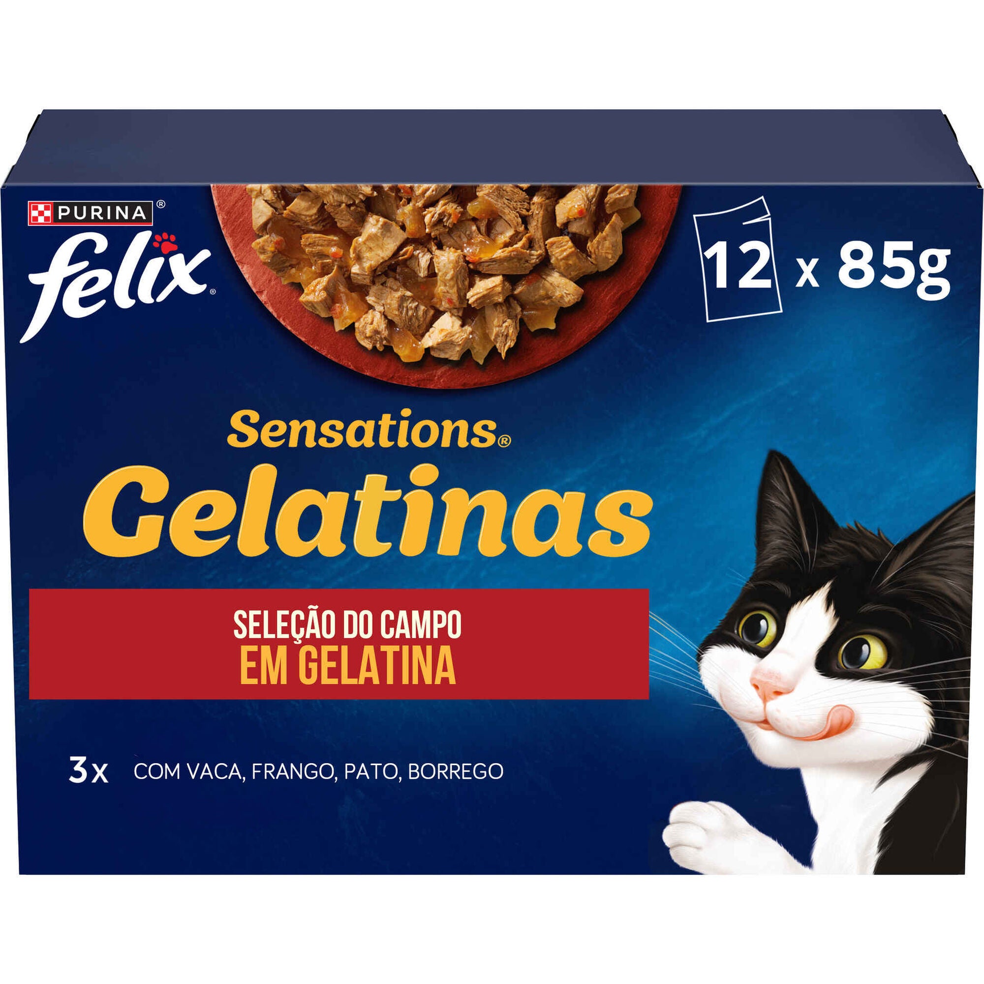 Purina Felix Sensations Gelatinas Gato, Saborosa Seleção 12x85g