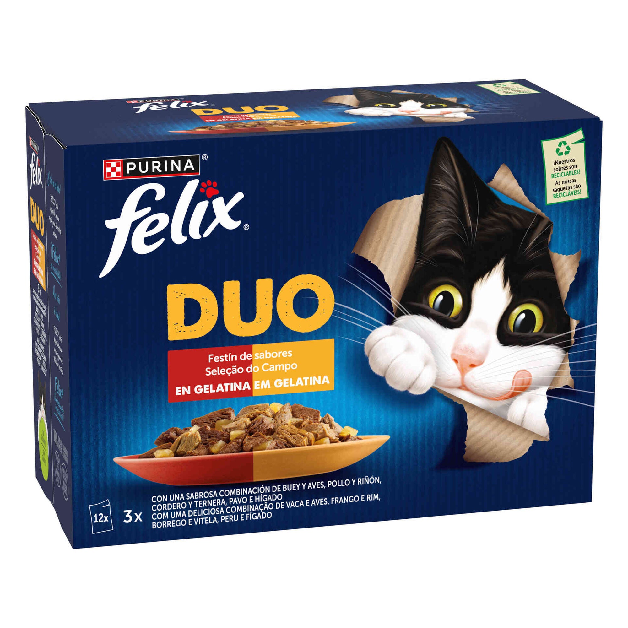 Purina Felix Fantastic Duo Saborosa Seleção Gato 12x85 g