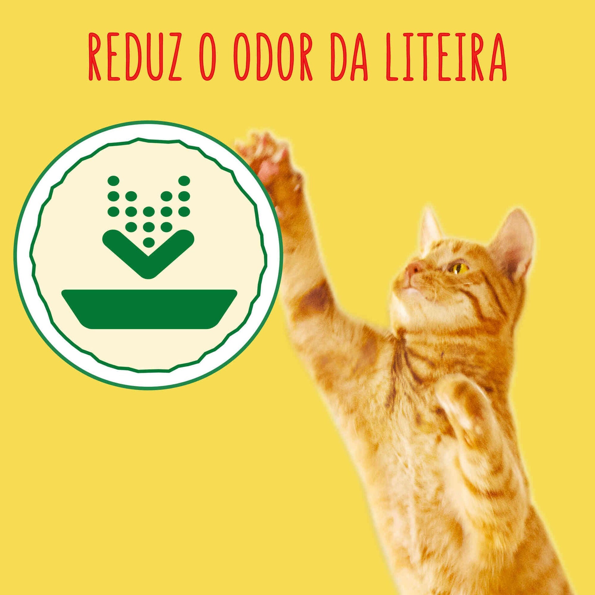 Purina Friskies Ração Gato Adulto de Interior Frango e Peru, 3 kg