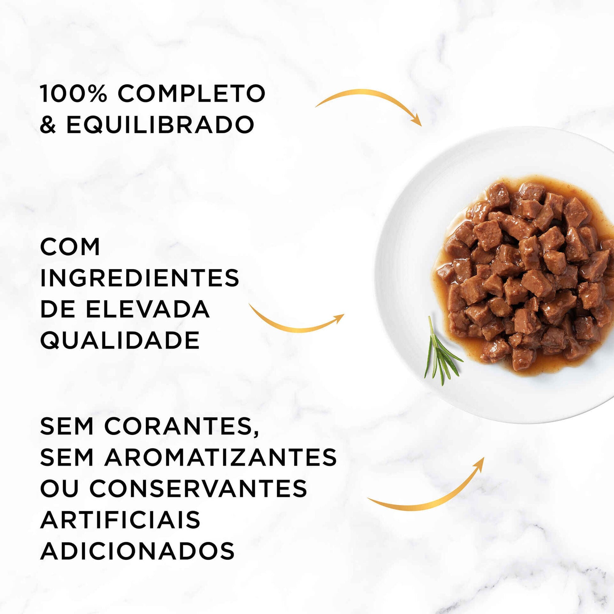 Purina Gourmet Gold Pedacinhos em Molho Seleção Sabores 12x85 g