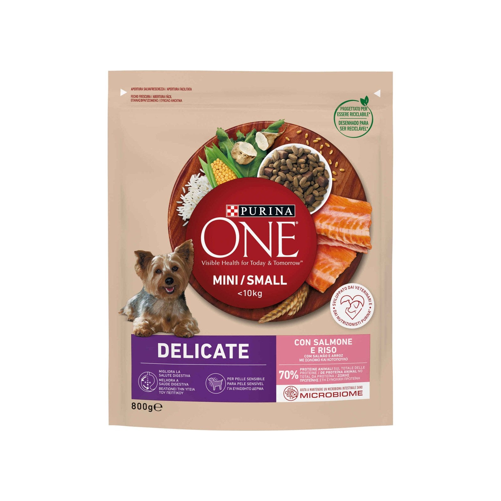 Purina One Mini Ração Salmão e Arroz para Cães Adultos de Raça Pequena 800 g