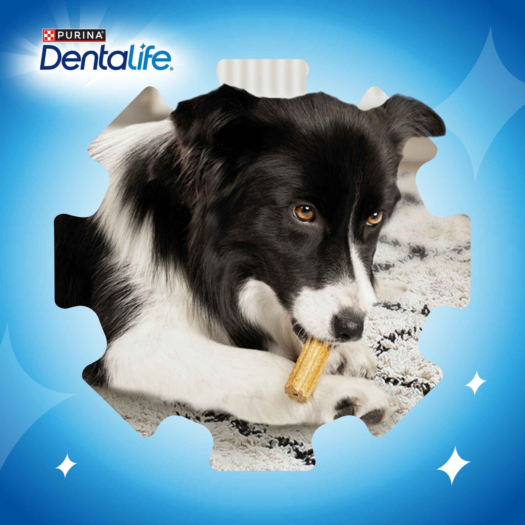 Purina Dentalife Snack Higiene Oral para Cães Pequenos, 345g