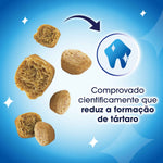 Purina Dentalife Snack Dentário para Gato Salmão 40 g