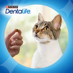 Purina Dentalife Snack Dentário para Gato Salmão 40 g