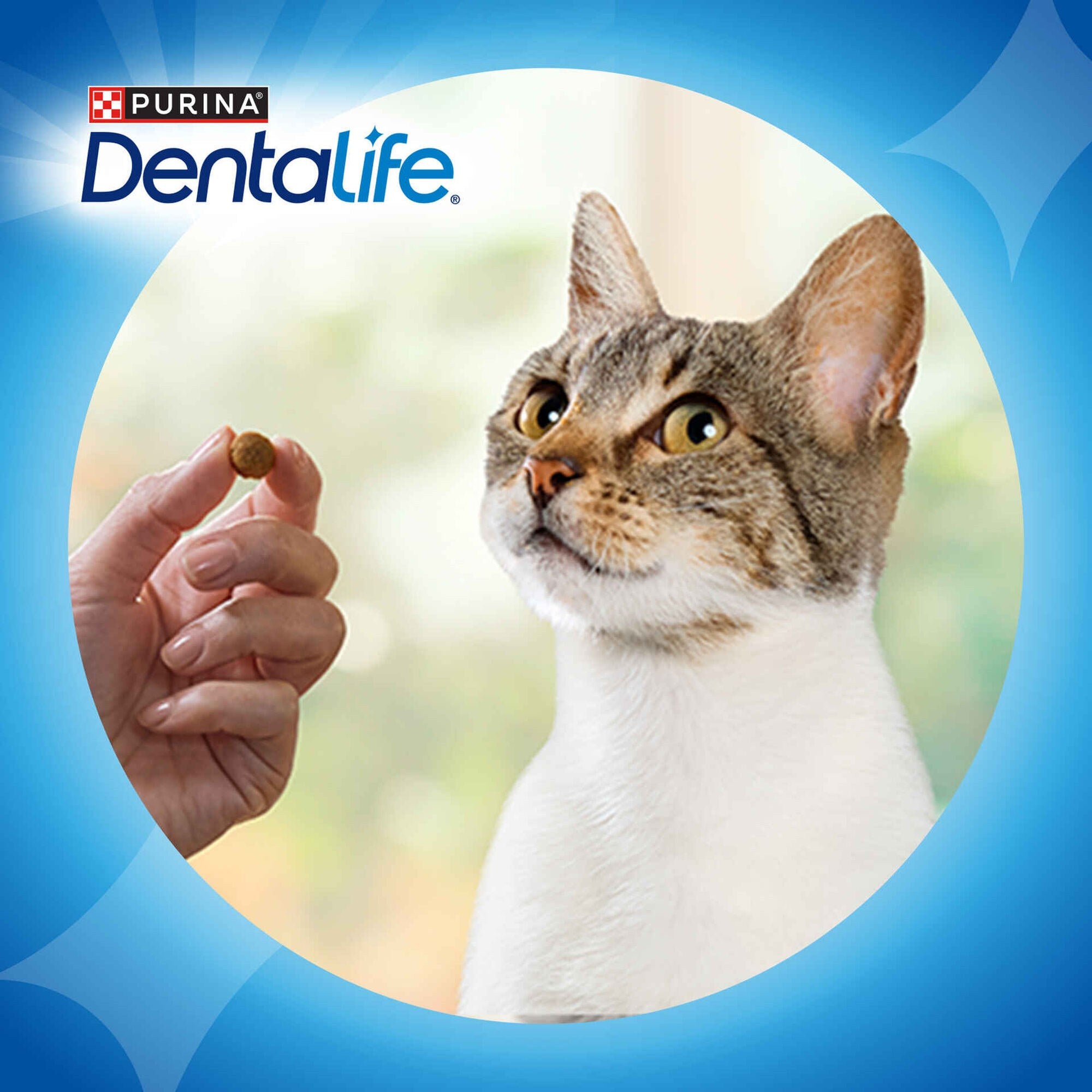 Purina Dentalife Snack Dentário para Gato Salmão 40 g