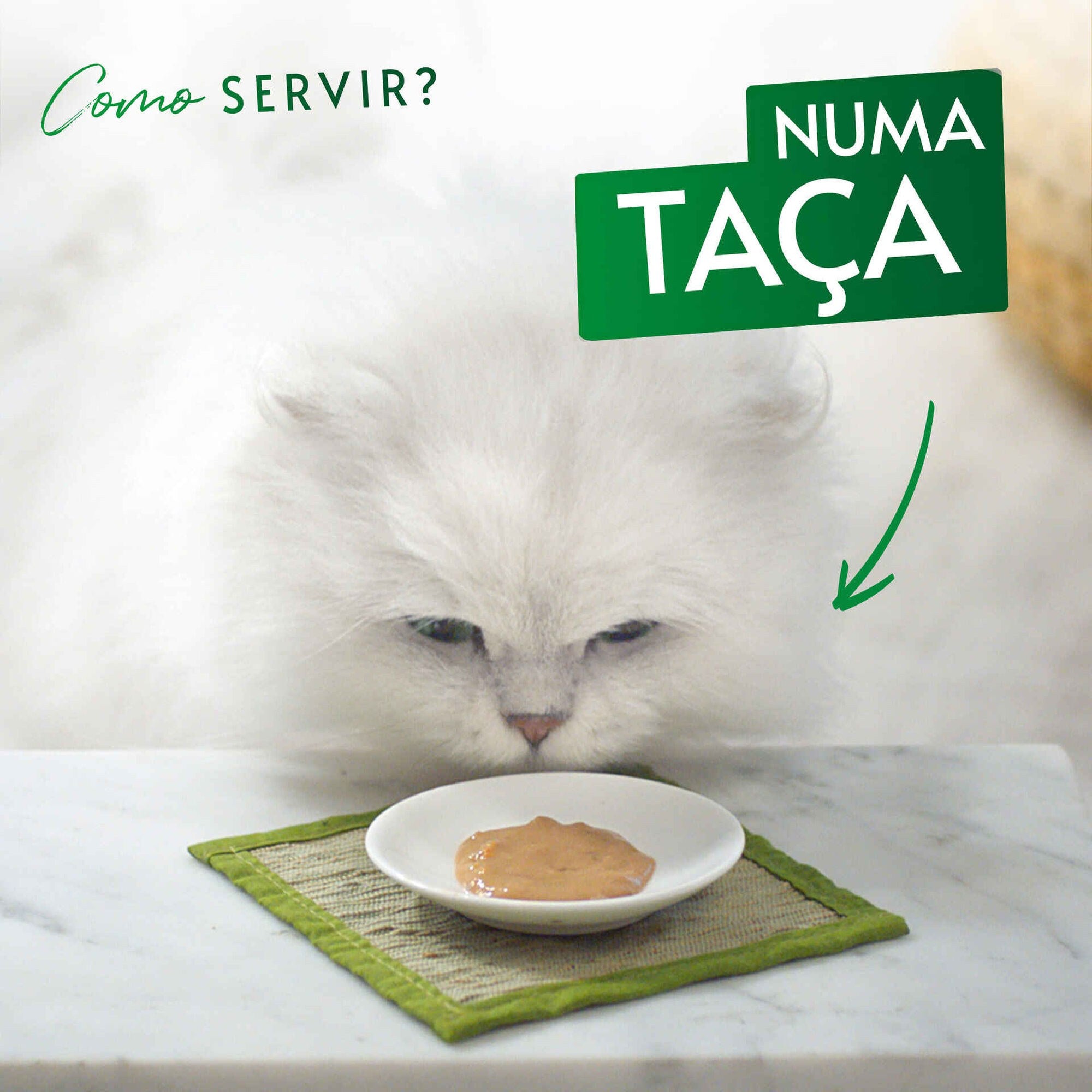 Purina Gourmet Nature Snack Puré de Frango e Abóbora para Gato Adulto 5x10 g