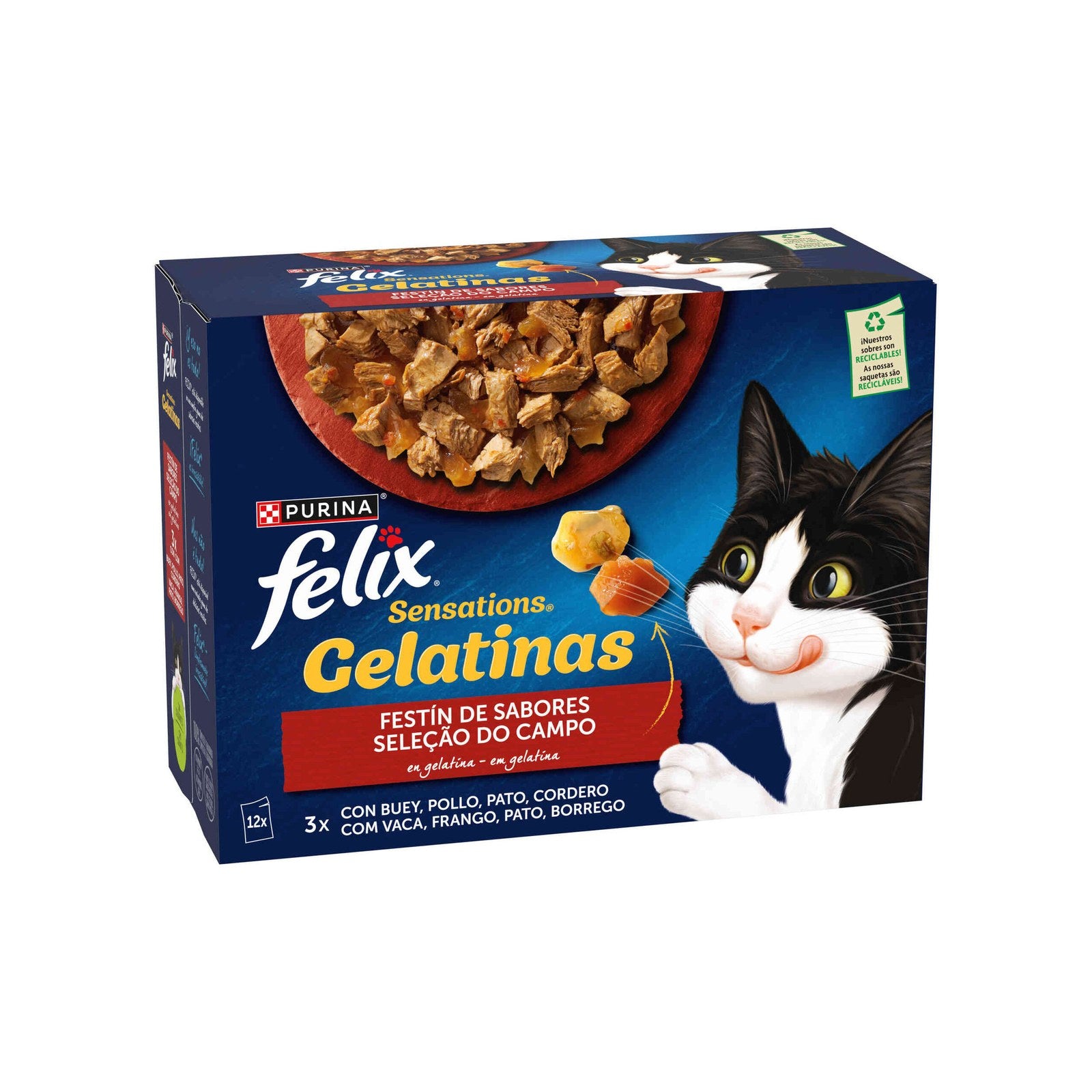 Purina Felix Sensations Gelatinas Gato, Saborosa Seleção 12x85g