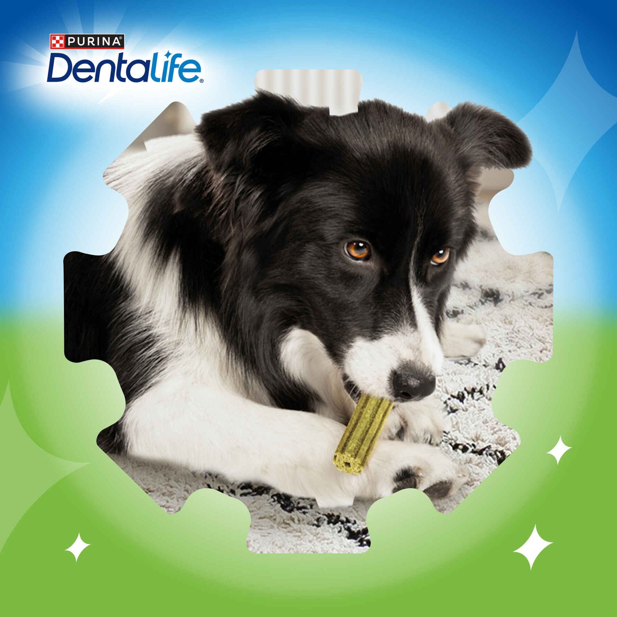 Purina Dentalife Activefresh Snack para Cão Médio 115 g