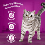 Ração Seca Whiskas para Gato Adulto com Vaca