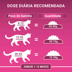 Purina One Ração Seca para Gato Júnior com Frango 2,8 kg