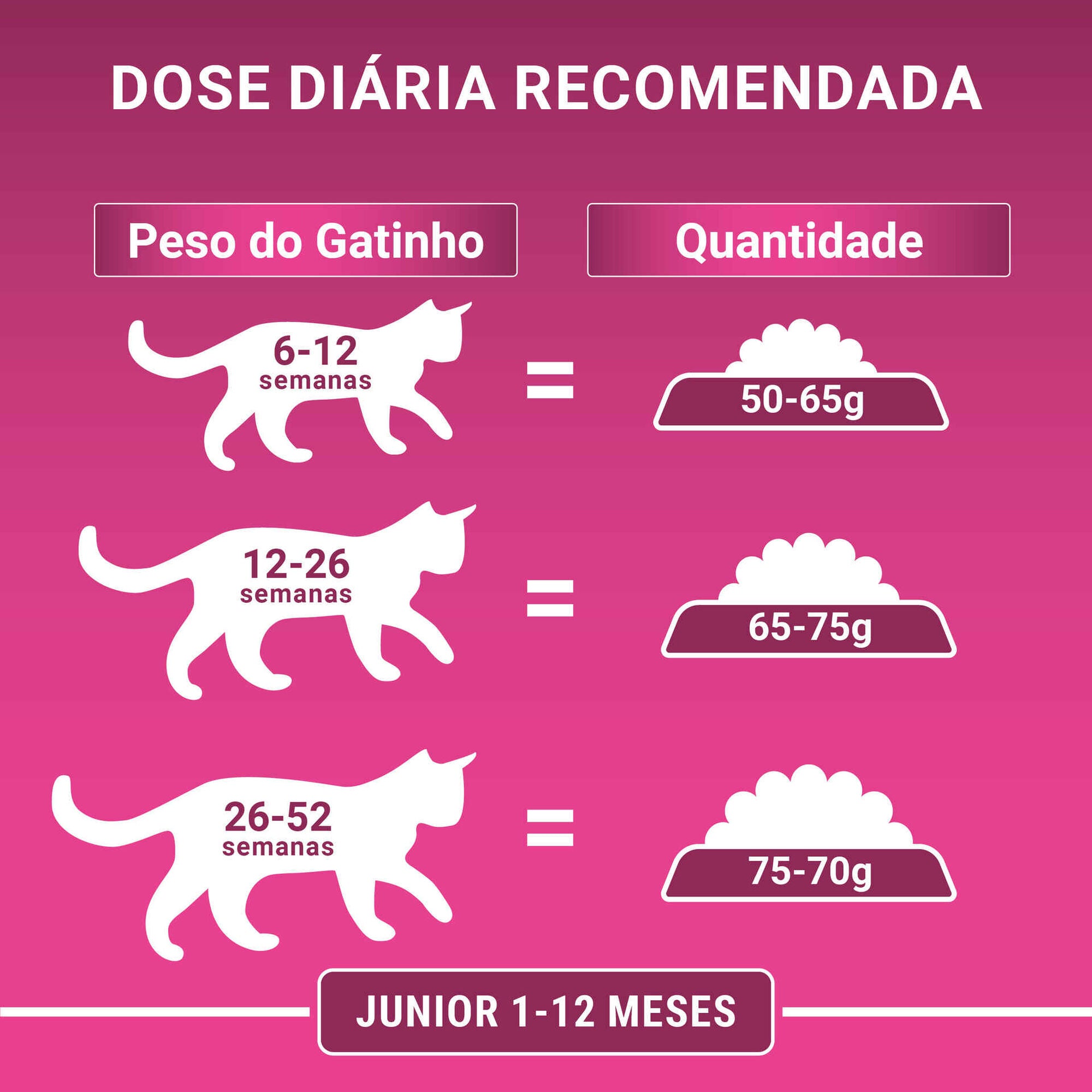 Purina One Ração Seca para Gato Júnior com Frango 2,8 kg