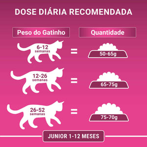 Purina One Ração Seca para Gato Júnior com Frango 2,8 kg