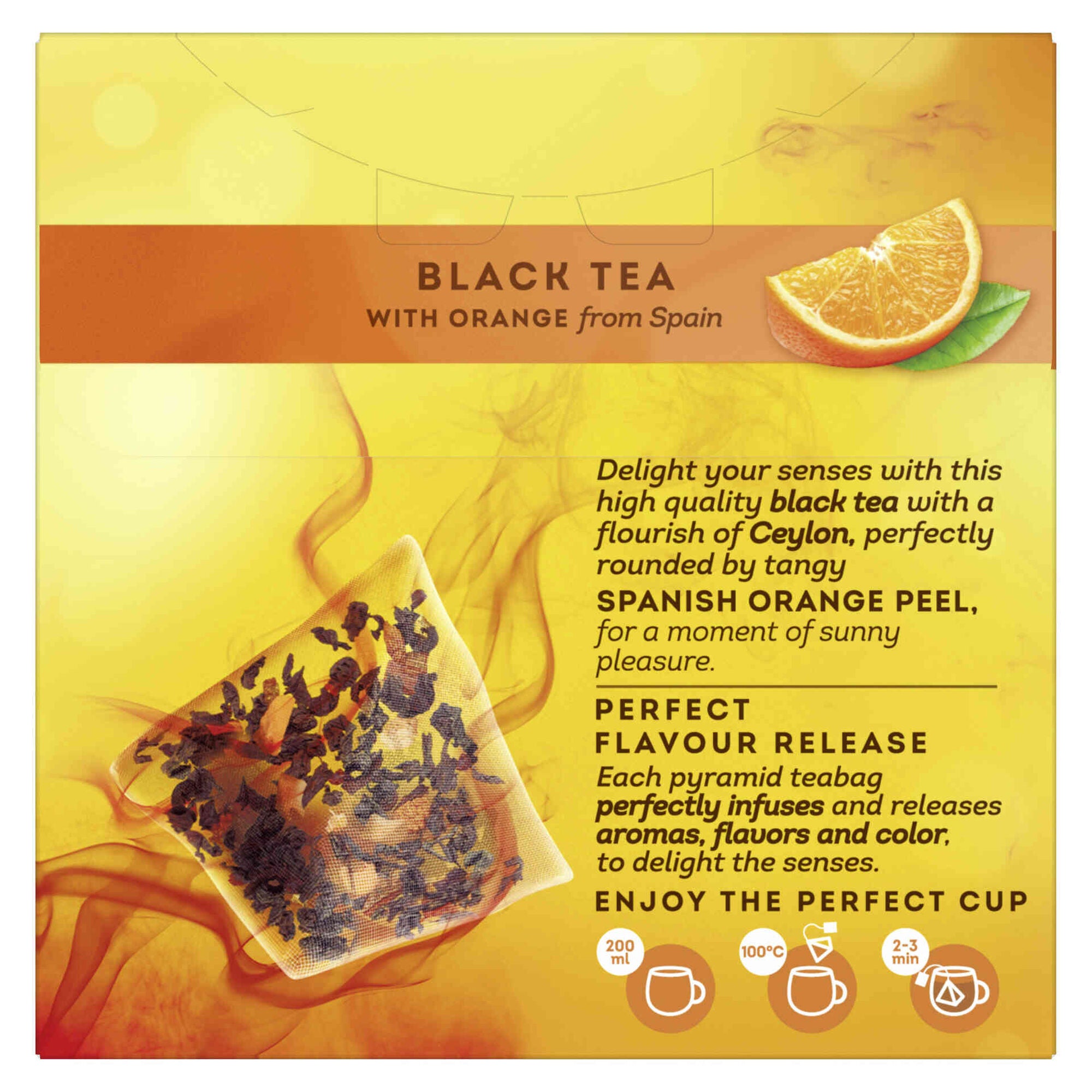 Chá Preto e Laranja Lipton Pyramid 34 g 20 un