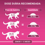 Purina One Ração Seca para Gato Júnior com Frango 2,8 kg