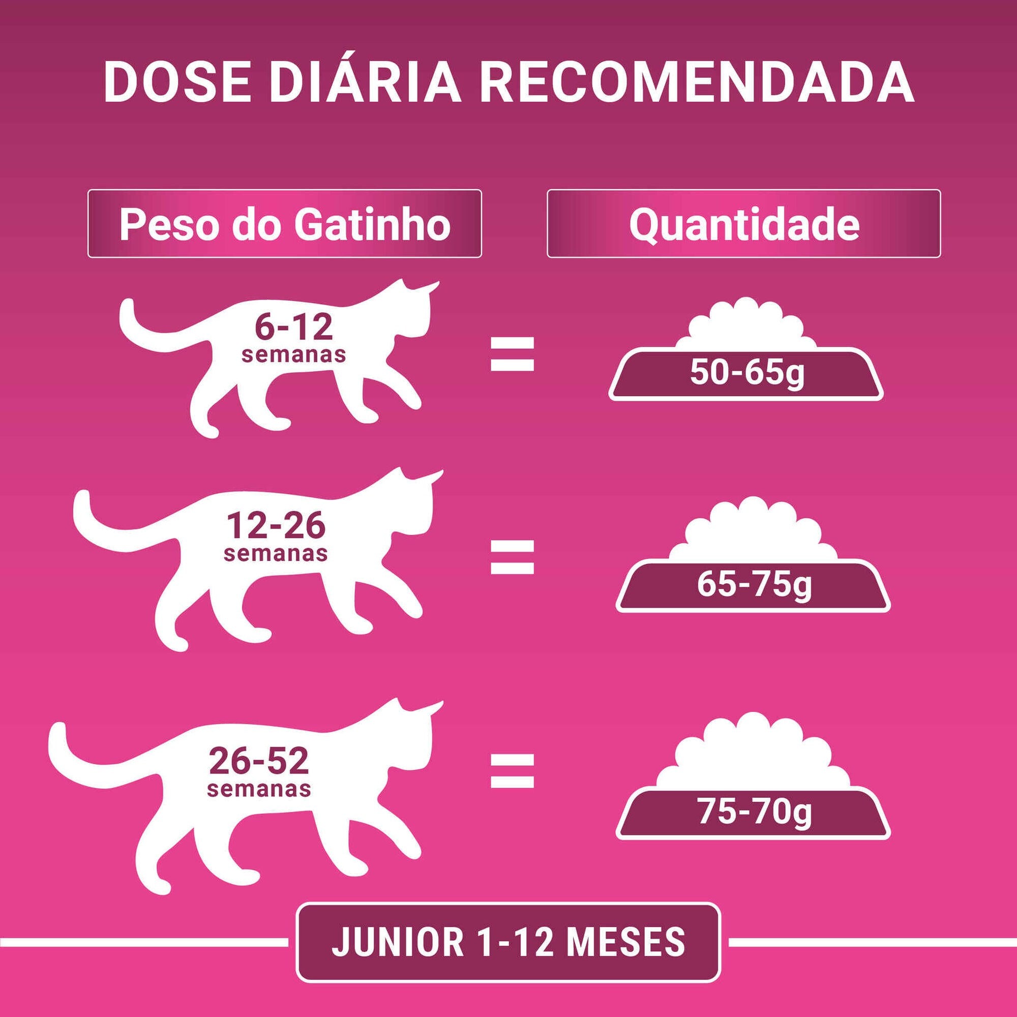 Purina One Ração Seca para Gato Júnior com Frango 2,8 kg